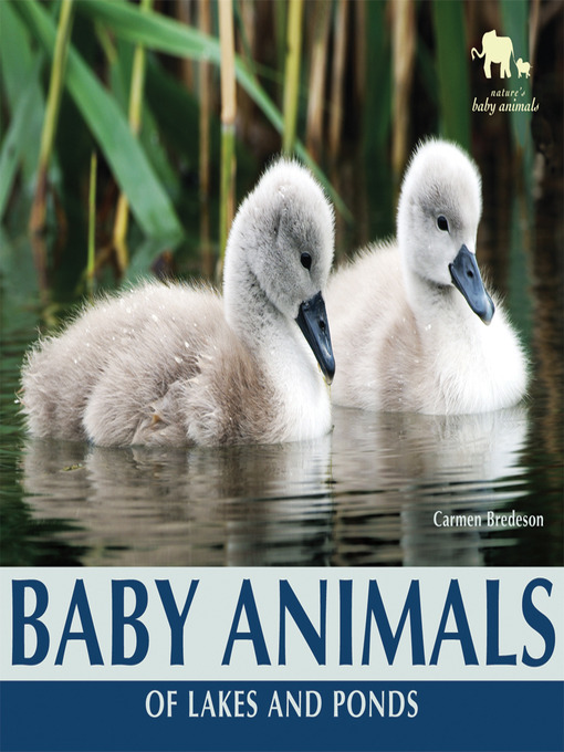 Title details for Baby Animals of Lakes and Ponds by Carmen Bredeson - Available